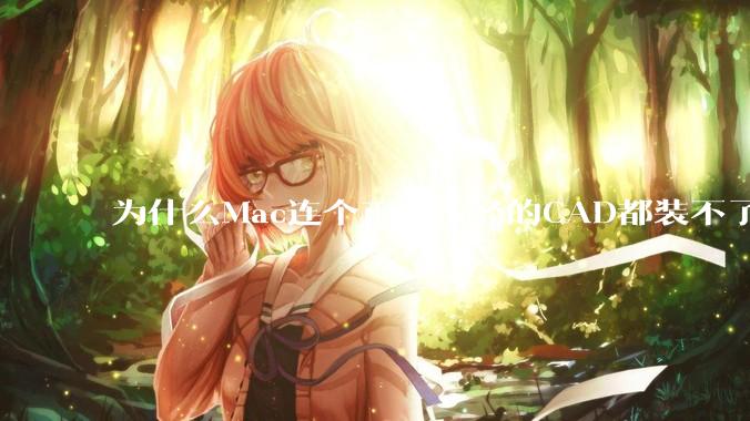 为什么Mac连个正儿八经的CAD都装不了还敢打着生产力的旗号？