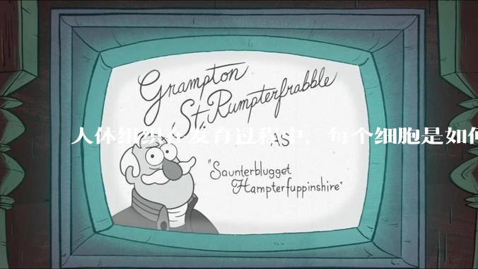 人体组织在发育过程中，每个细胞是如何确定自己在宏观结构是的位置的？