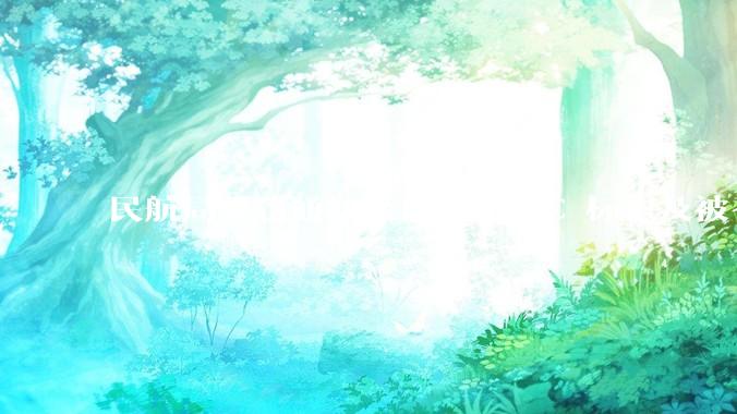 民航局紧急通知禁止携无 3C 标识及被召回的充电宝乘境内航班，无 3C 标识充电宝有哪些安全隐患？