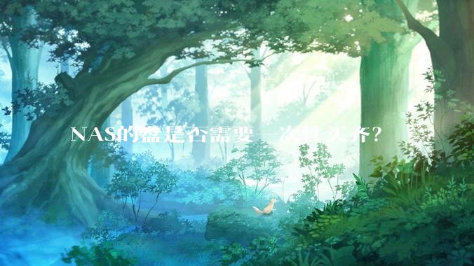 NAS的盘是否需要一次性买齐？