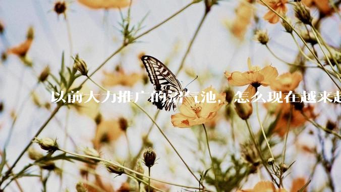 以前大力推广的沼气池，怎么现在越来越少了？