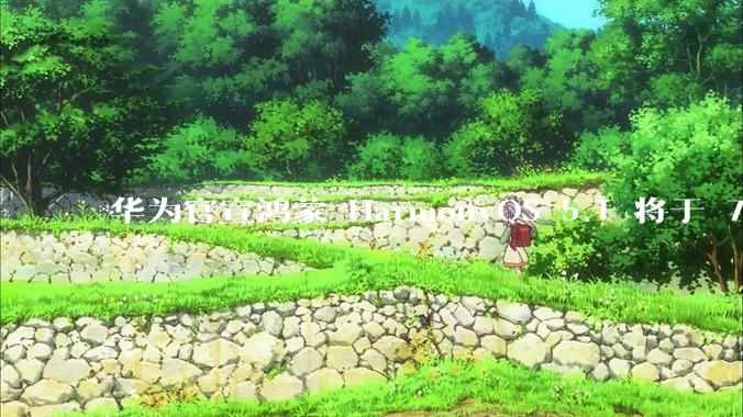 华为官宣鸿蒙 HarmonyOS 5.1 将于 7 月开启升级，对此你怎么看？会选择第一时间升级吗？