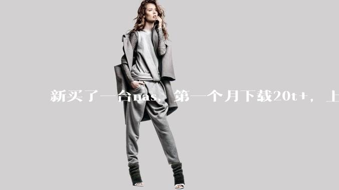 新买了一台nas，第一个月下载20t+，上传5+，不会被网警盯上吧?