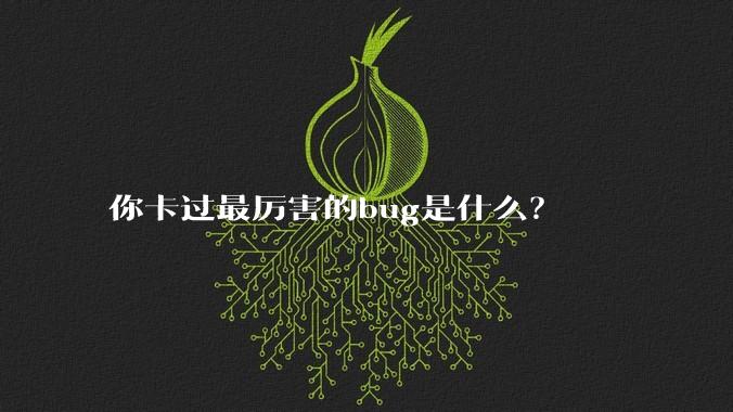 你卡过最厉害的bug是什么？
