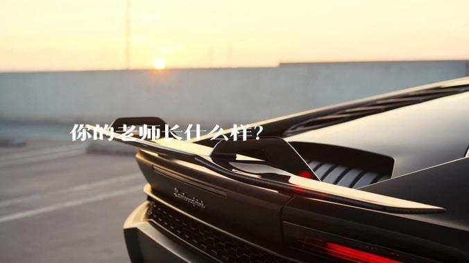 你的老师长什么样？