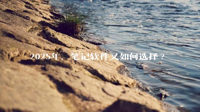 2025年，笔记软件又如何选择?