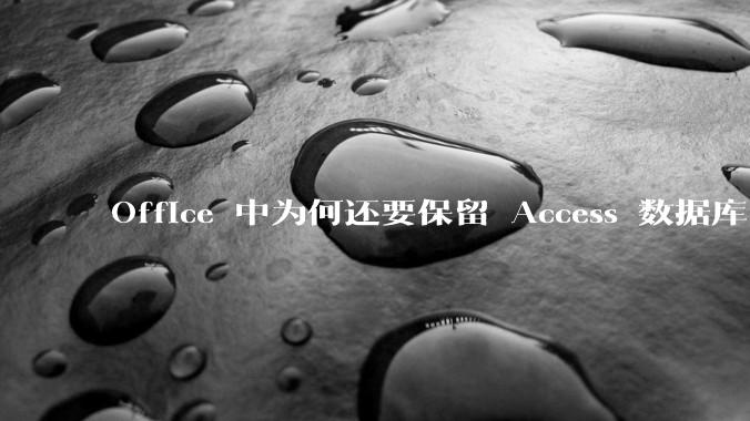 Office 中为何还要保留 Access 数据库?